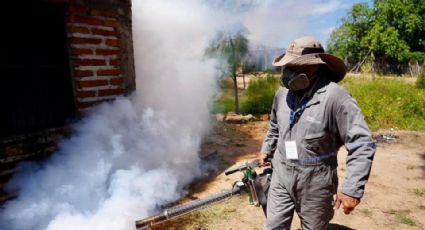 Casos de dengue en Guaymas y Empalme al alza; realizan fumigación en escuelas de nivel básico