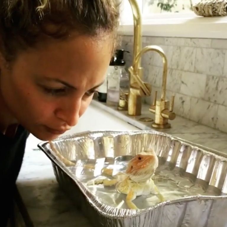 'Speedy' refrescándose 