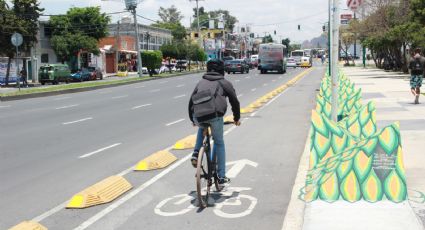 Así puedes solicitar que instalen una ciclovía para tu calle en la Ciudad de México
