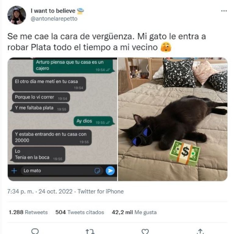 Gato