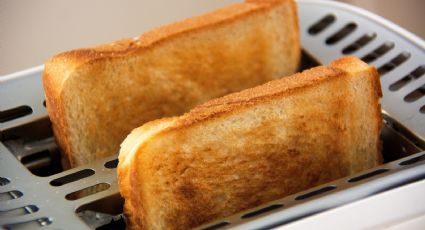 ¿Pan blanco o integral? Descubre cuál es la opción más saludable para ti y tu familia