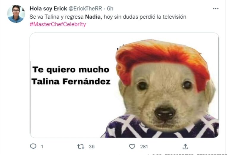 Memes por la salida de Talina Fernández de 'MasterChef Celebrity México'. Foto: Twitter