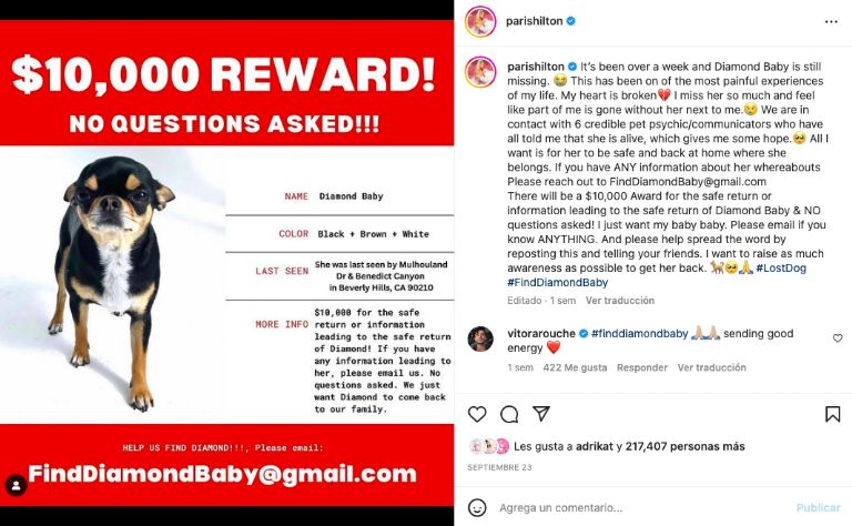 Paris Hilton mascota 