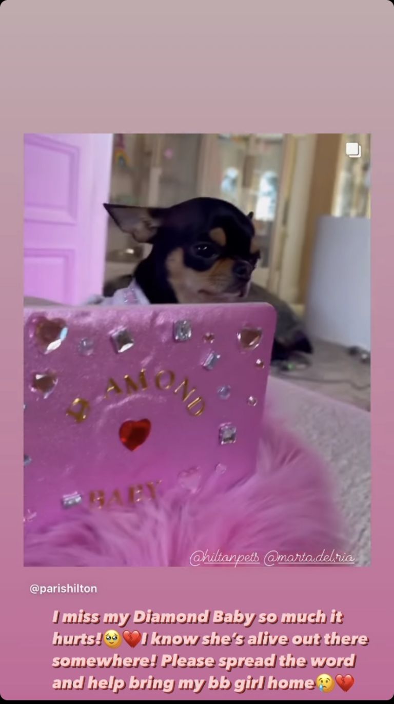 Historias Paris Hilton 