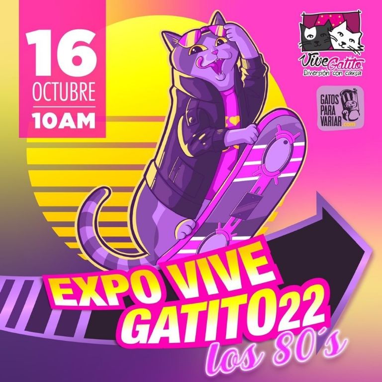 Cartel Expo Vive Gatito 2022