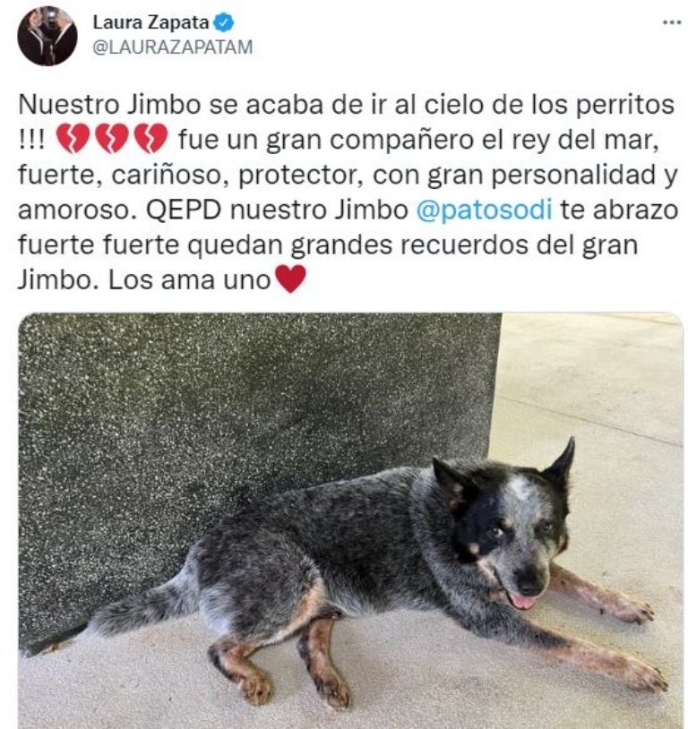 Publicación de Laura Zapata