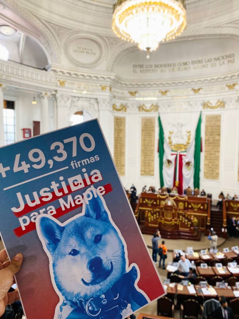 Impulsan la Ley Maple en la CDMX