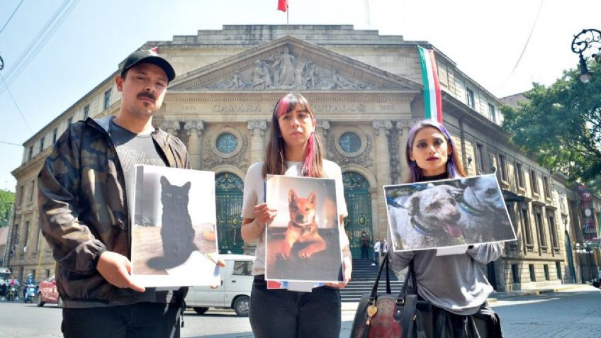 Impulsan la 'Ley Maple' en la CDMX; Busca evitar muerte de mascotas en campamentos