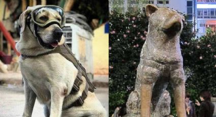 (FOTO) Al estilo 'Hachiko': Semar reconoce a la rescatista 'Frida' con su propia estatua; así luce