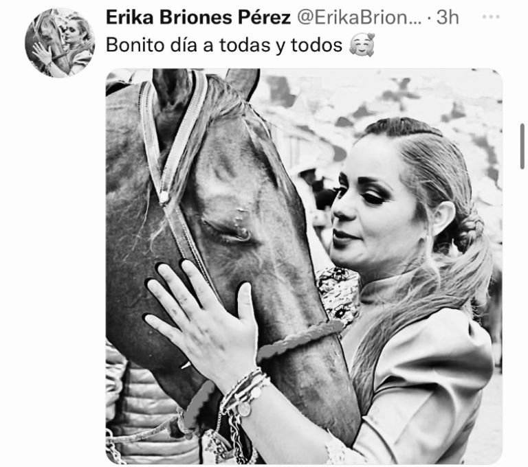 Mensaje Ericka Briones 