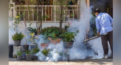 Fumigaciones aumentan hasta un 30% en Navojoa por casos de dengue