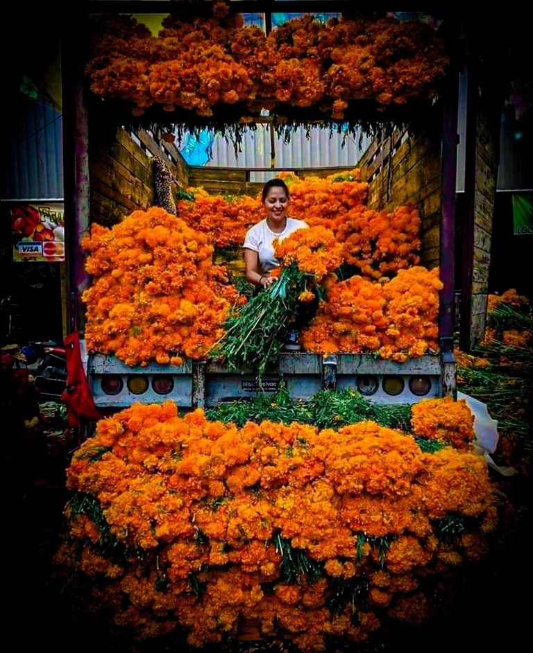 Flores de cempasúchil en la Ciudad de México