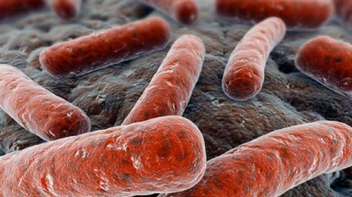 Alertan por aumento de tuberculosis en Sonora; estos son los municipios más afectados