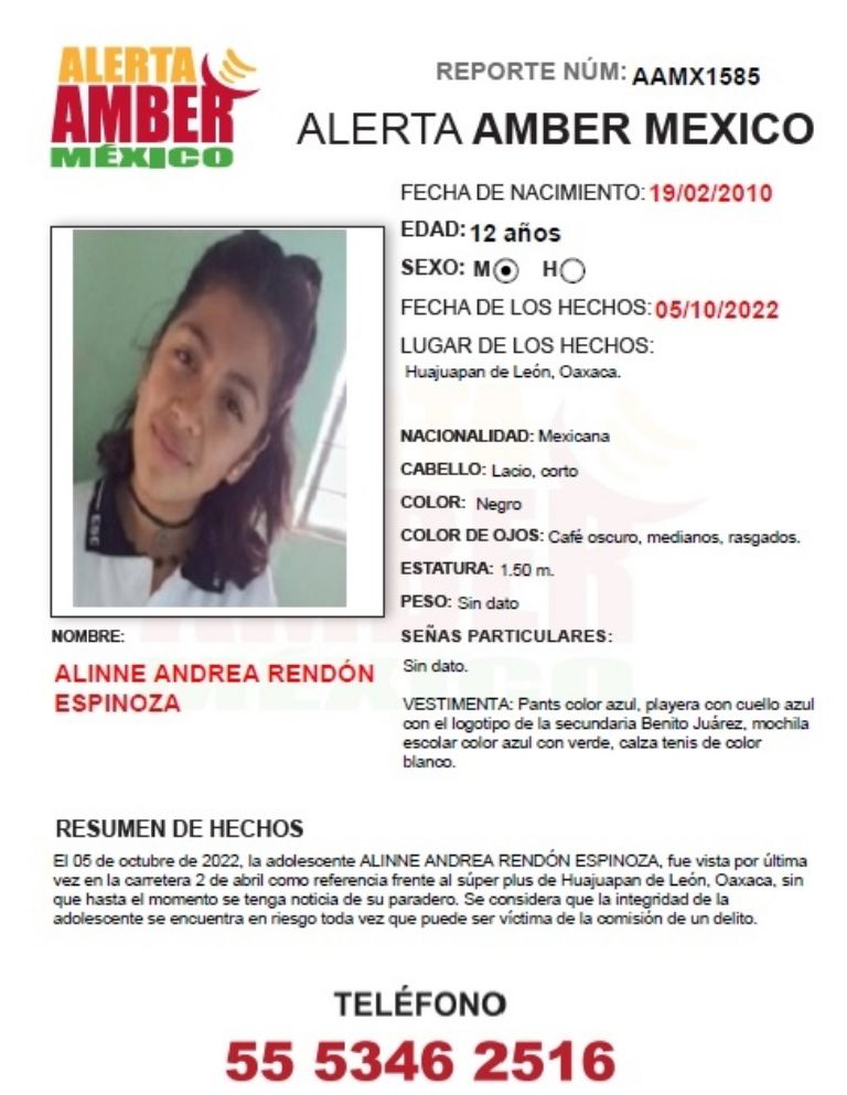 Autoridades emiten ficha de búsqueda por la desaparición de Alinne Andrea. Foto: Twitter