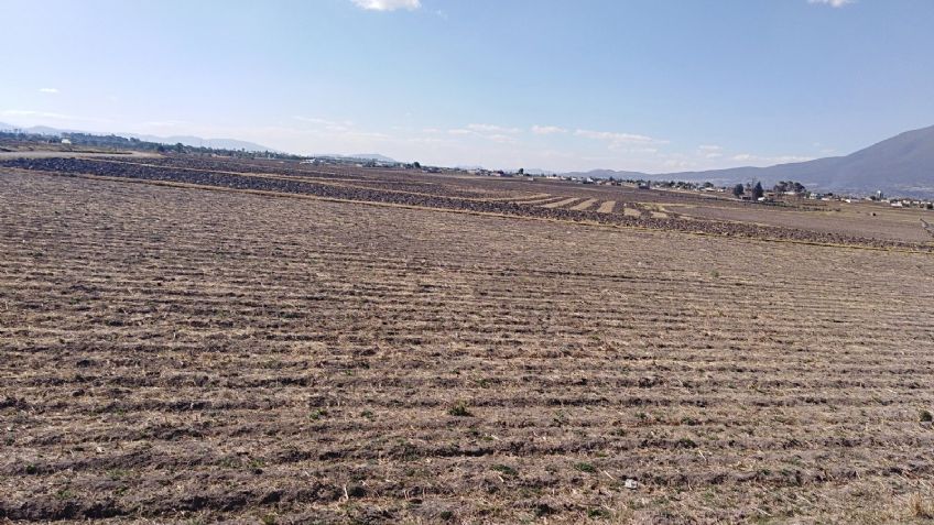 Conoce el nuevo programa que apoya a los agricultores en el Estado de México