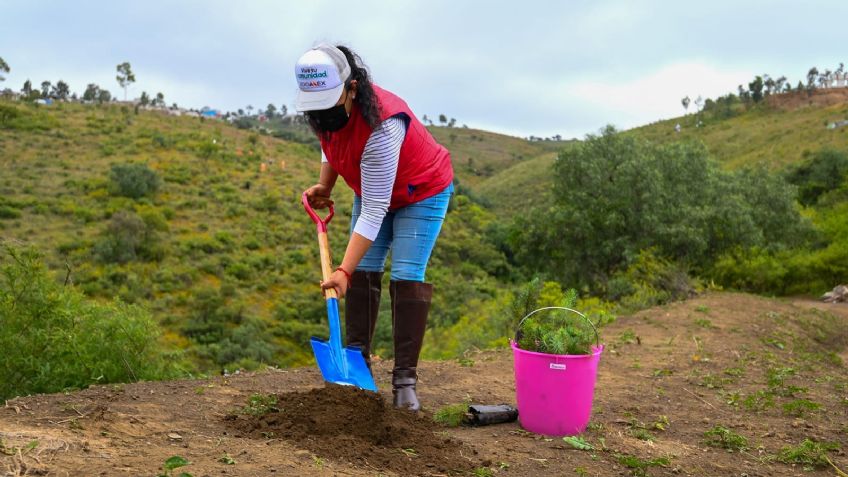 El Edomex sigue con su plan de reforestación y plantan 3 mil árboles en La Paz