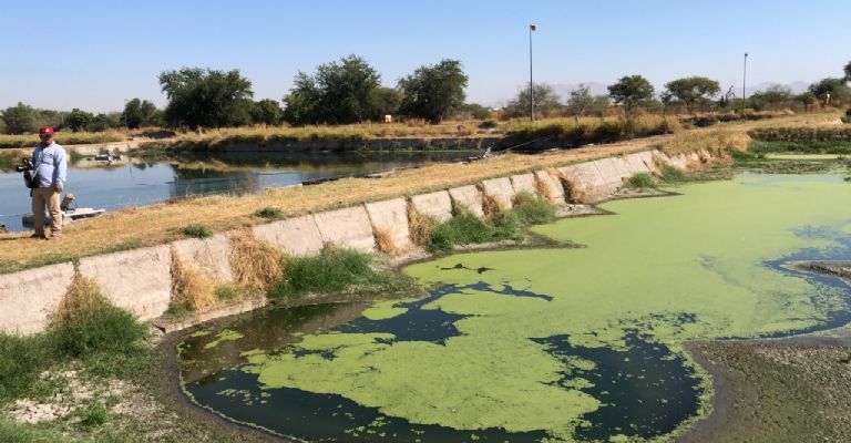 Exponen daños ambientales en planta tratadora de agua residual de Solaqua