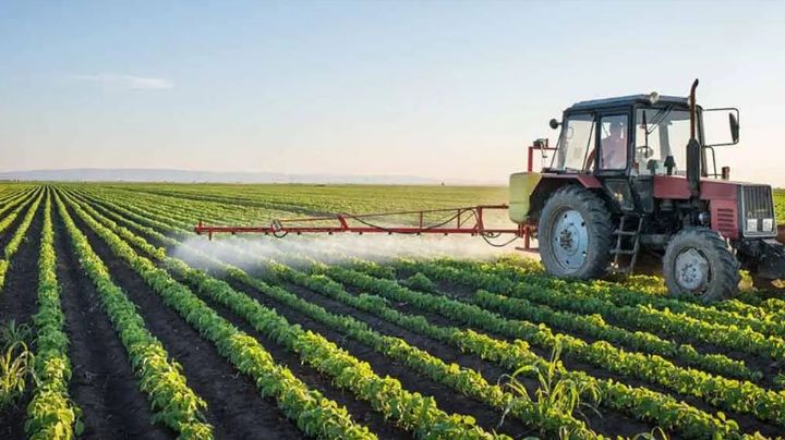 Agricultores de Sonora presionan y se pospone discusión  sobre los agroquímicos en el Senado