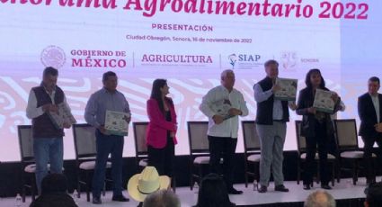 Presentan Panorama Agroalimentario 2022; Sonora líder en producción de trigo, maíz y espárrago