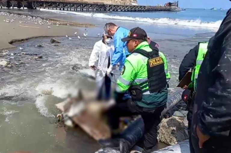 Restos hallados en Perú 