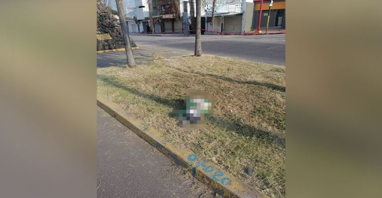 En bolsa de comida para perros dejan restos humanos en Cuautla