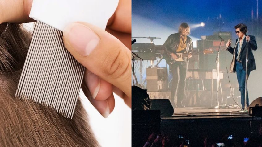 Muy bonito y todo pero… Asistentes al Corona Capital podrían estar infestados de piojos