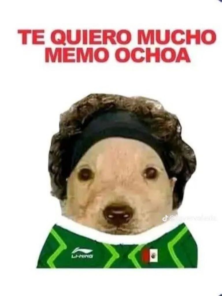 Memes Memo Ochoa 
