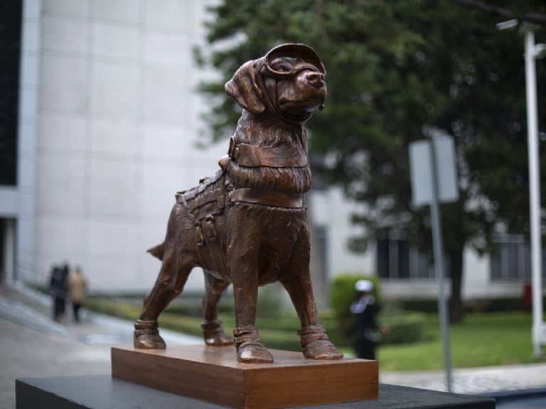 Estatua de la Perrita Frida