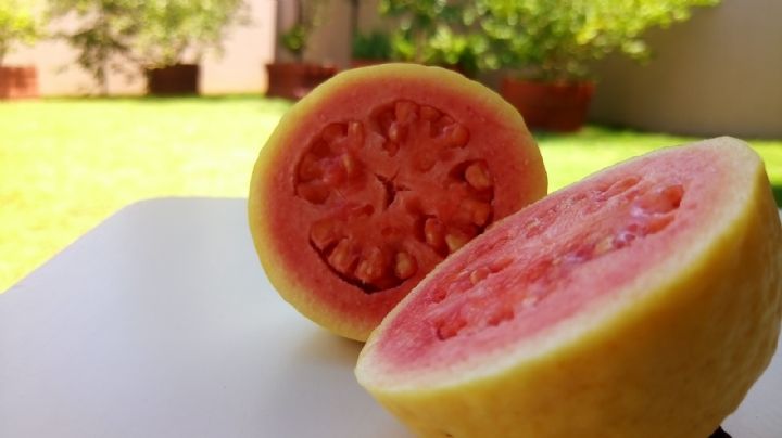 ¿Dolor de garganta? Estas propiedades de la guayaba serán tus aliadas en esta temporada de frío