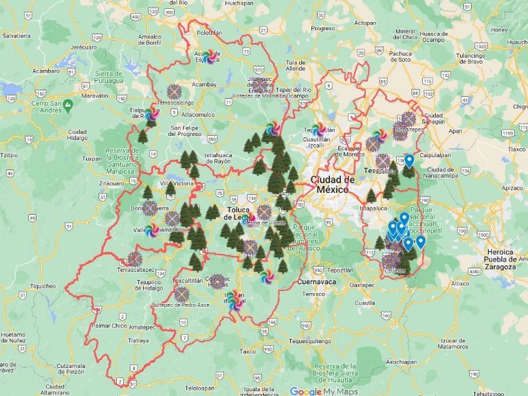 Árboles de Navidad en Edomex