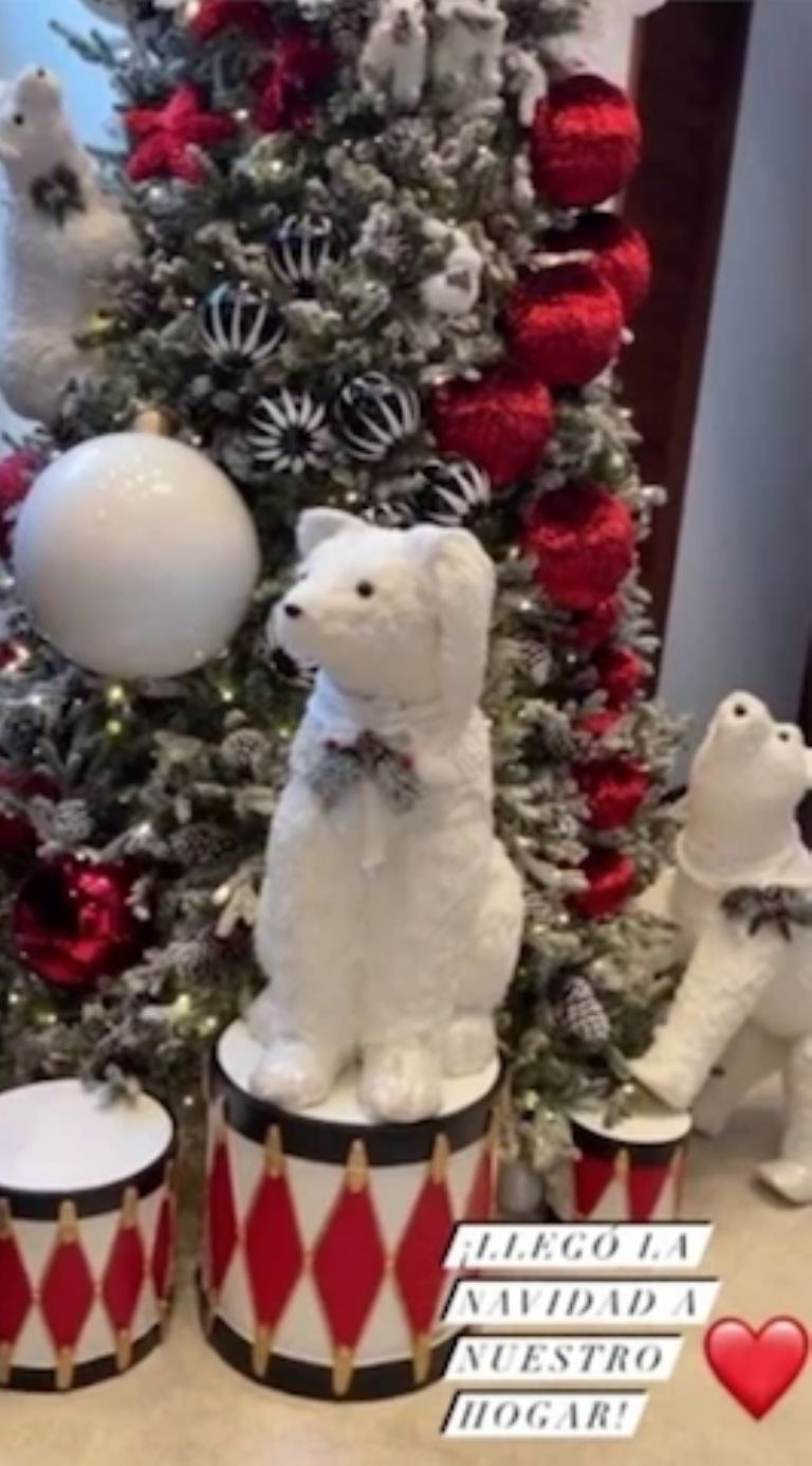 Instagram @cynoficial