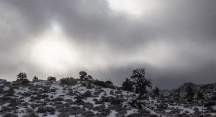 Conagua: ¡Abrígate! Frente Frío N° 7 provocará chubascos y caída de nieve en Sonora este jueves