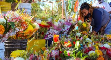 Florerías 'batearon' en Guaymas y Empalme por celebración de fieles difuntos