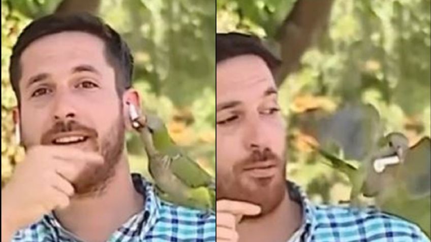 (VIDEO) Los robos incrementa: Reportero es asaltado en plena transmisión en vivo por un ¿loro?