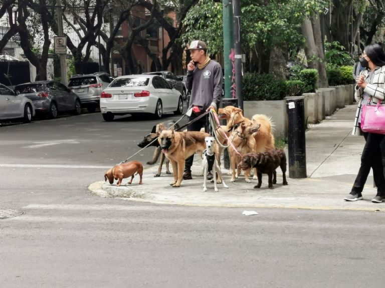 Empleos en la Ciudad de México