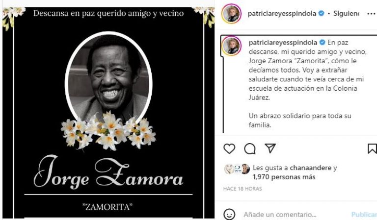 Patricia Reyes Spíndola 