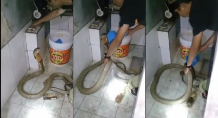 De no creerse: Joven baña a su mascota pero ella intenta atacarlo; era una serpiente