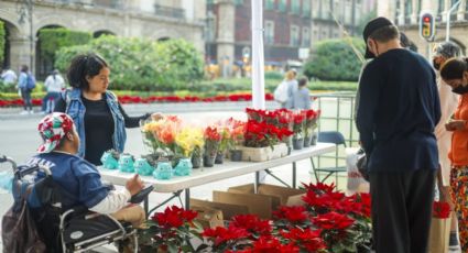 ¡No pierdas la oportunidad! Compra Nochebuenas en el Zócalo y ayuda a productores locales