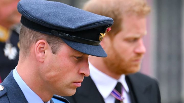 Como niño regañado: Harry recuerda la reacción de William ante su renuncia a la corona
