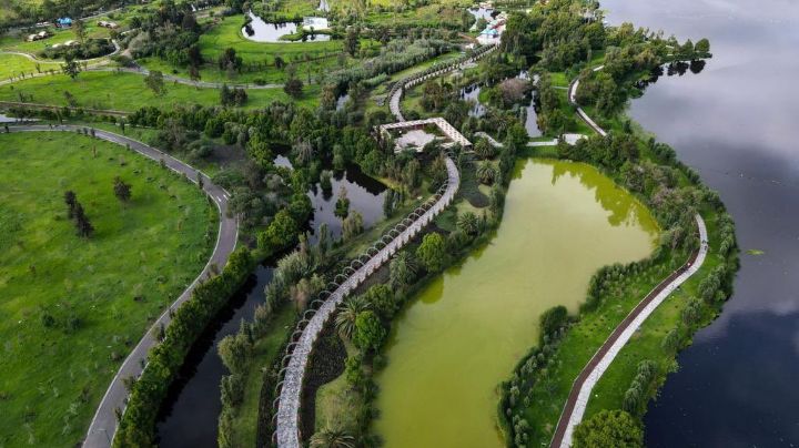 Visita los 16 parques rehabilitados en la CDMX y disfruta de todas sus actividades