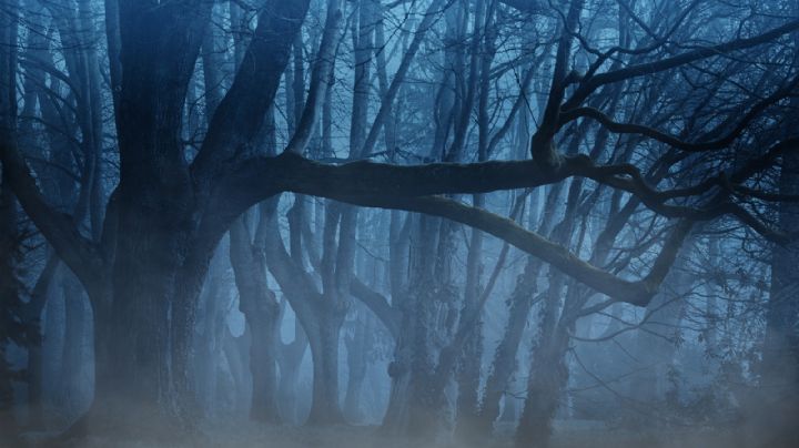 FOTO: Pareja sale a pasear a su perro, pero se llevan el susto de su vida al captar a un fantasma