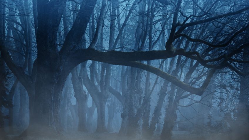 FOTO: Pareja sale a pasear a su perro, pero se llevan el susto de su vida al captar a un fantasma