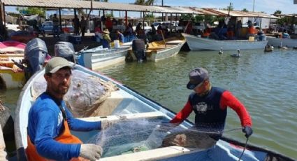 Tiene sector ribereño un 2022 para 'el olvido' en Guaymas con pésimas capturas