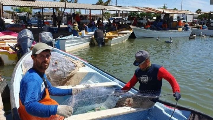 Tiene sector ribereño un 2022 para 'el olvido' en Guaymas con pésimas capturas