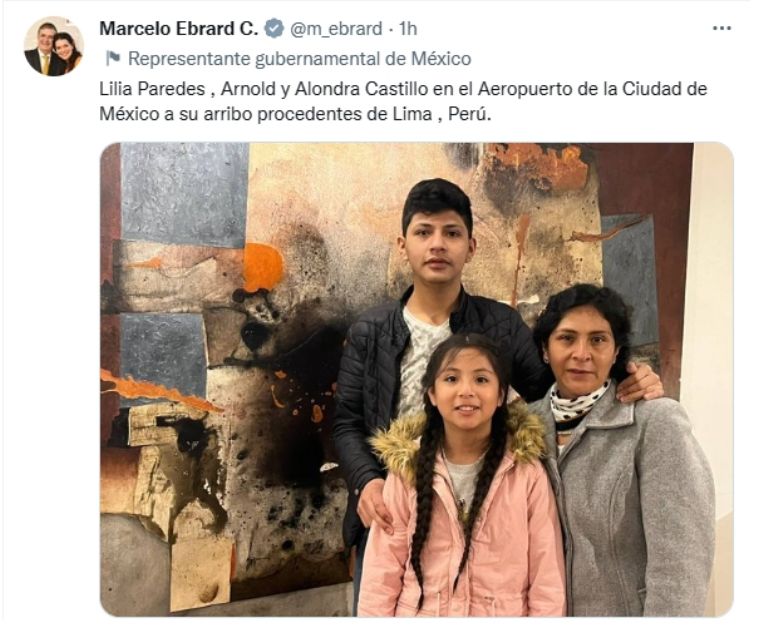 SRE confirmó la llegada de la familia de Pedro Castillo a México. Foto: Twitter