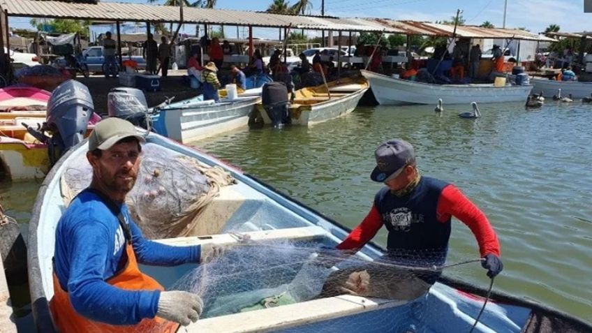 Tiene sector ribereño un 2022 para 'el olvido' en Guaymas con pésimas capturas