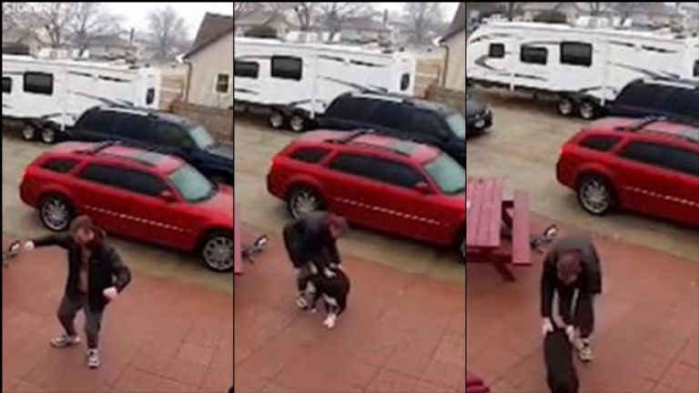 Perro rescata a su dueño de una situación incomoda