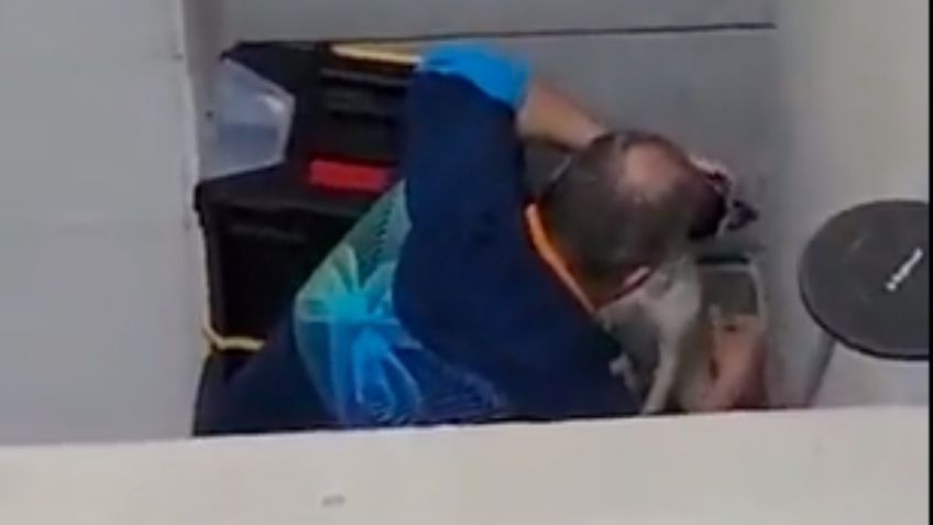 IMAGENES FUERTES: Tras denuncia en redes, rescatan a una 'perrita' en CDMX
