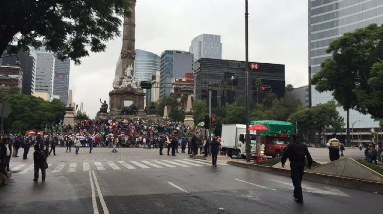 Calle Florencia en CDMX