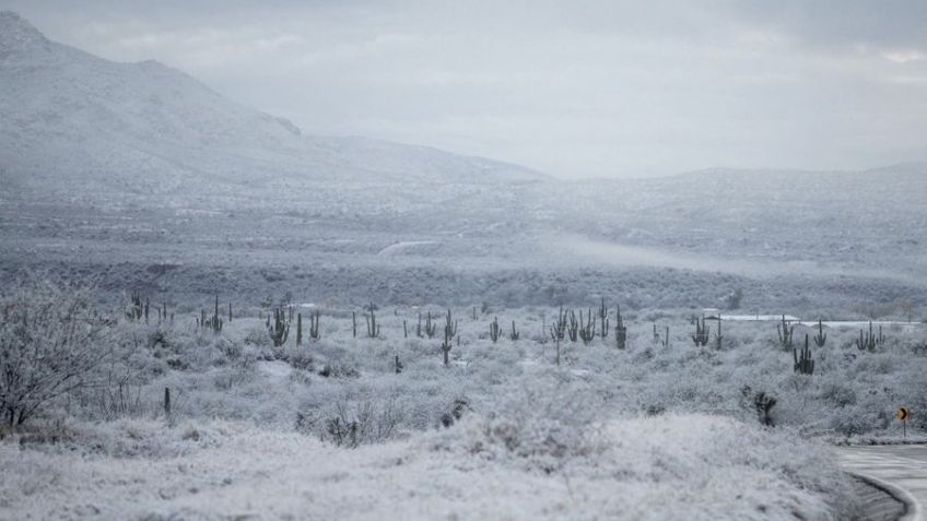 Conagua: ¡Alerta! Frente Frío N° 20 provocará lluvias fuertes y caída de nieve en Sonora